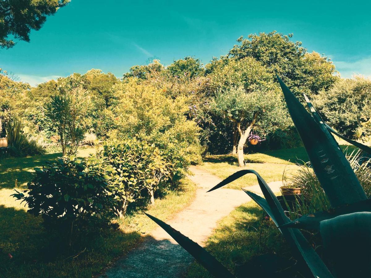 Quinta Das Almas São Roque do Pico Εξωτερικό φωτογραφία