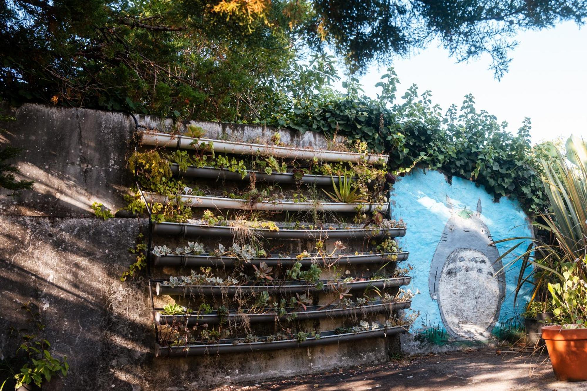 Quinta Das Almas São Roque do Pico Εξωτερικό φωτογραφία